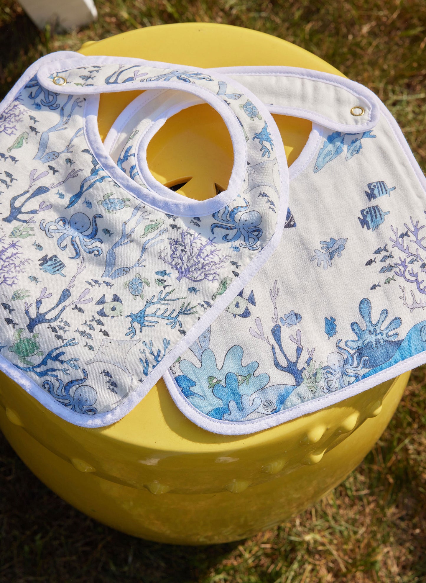 Coral Reef Bib