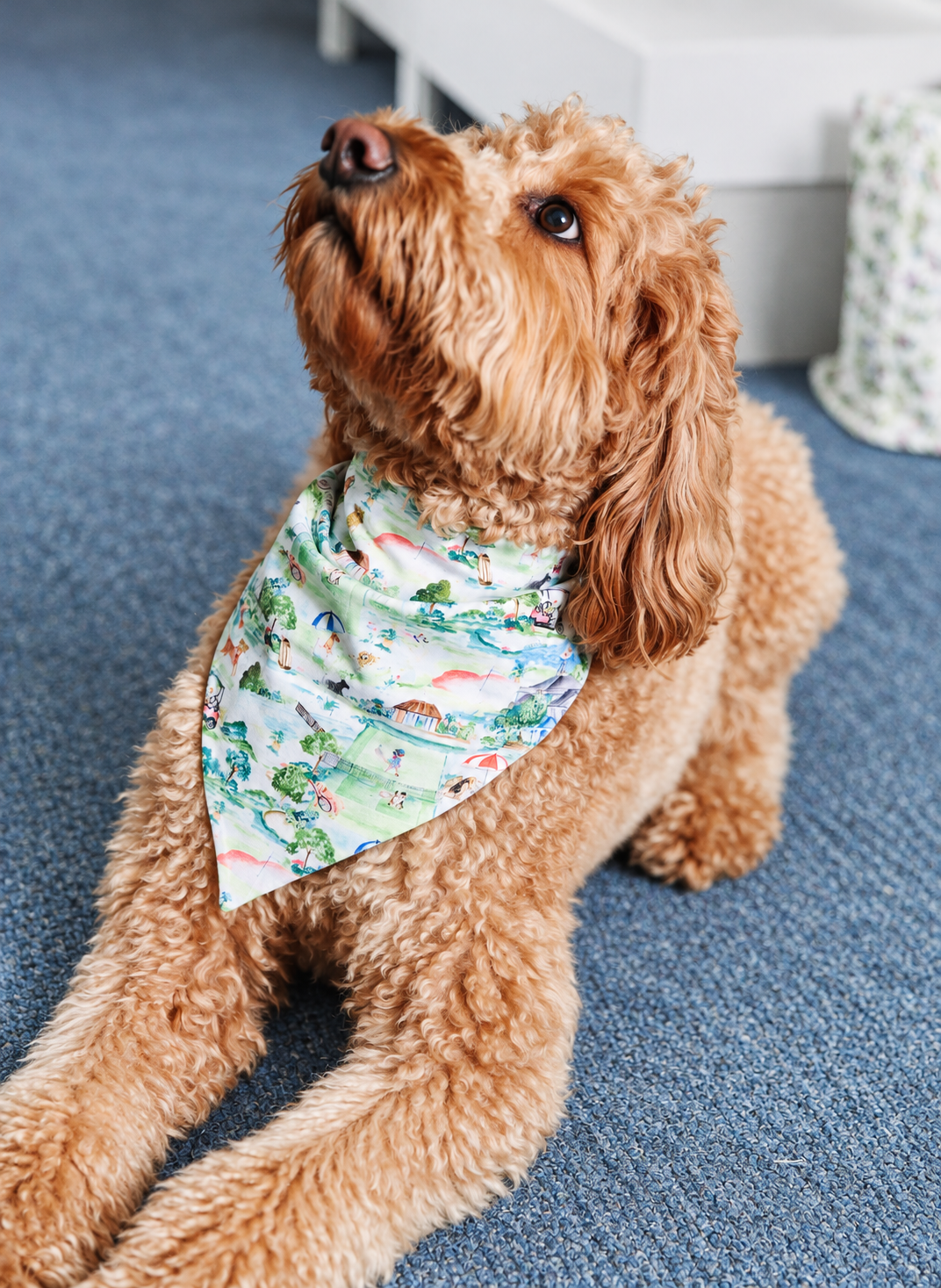 The Good Dog Bandana