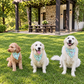The Good Dog Bandana