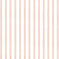 Stripes in Pink + White