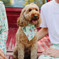 Dog Bandana - A Jolly Good Time