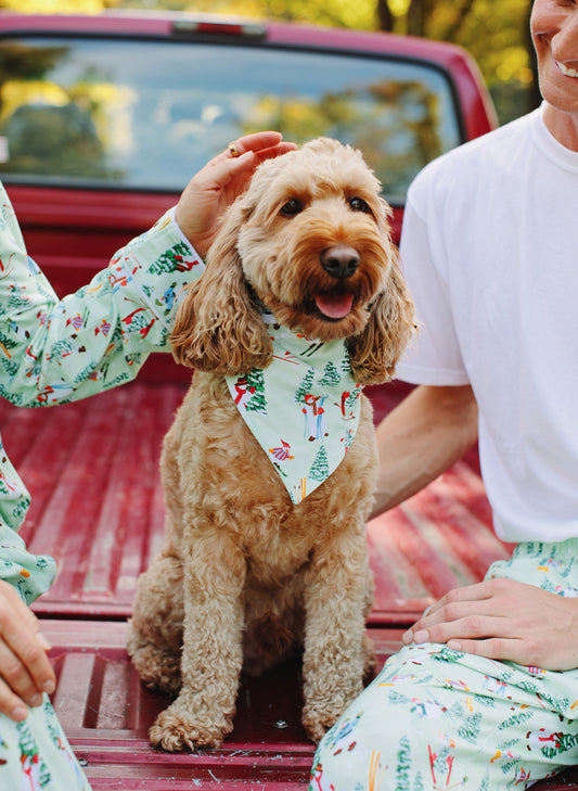 Dog Bandana - A Jolly Good Time
