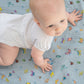 Tummytime Bib & Shawl Blanket Set-Blue Madame Butterfly